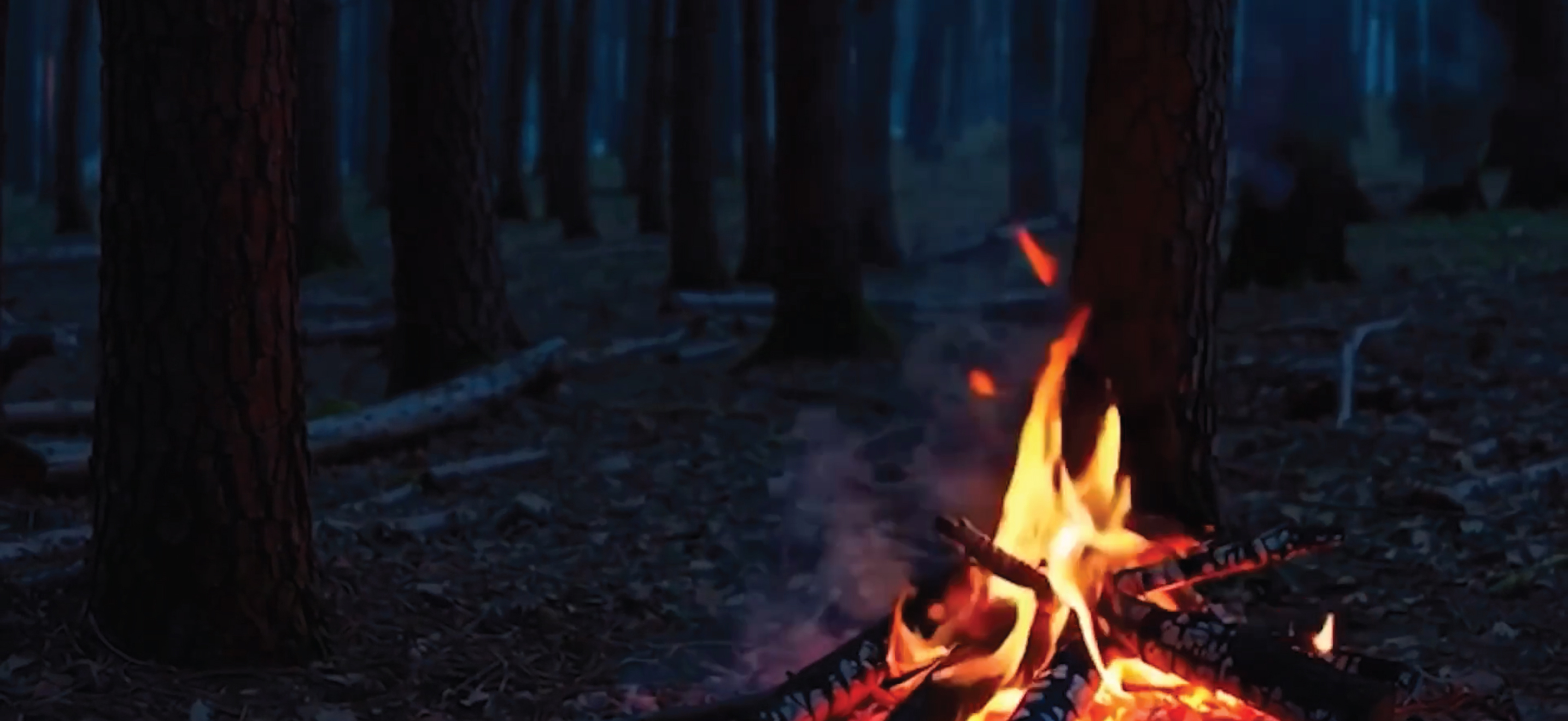 夜間の焚き火シーン